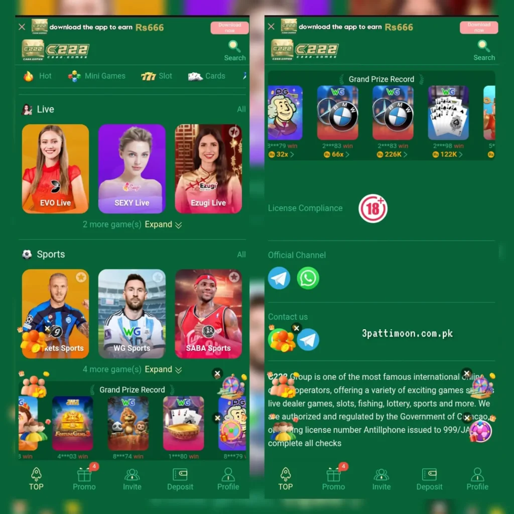C222 game