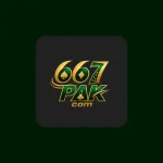 667Pak game