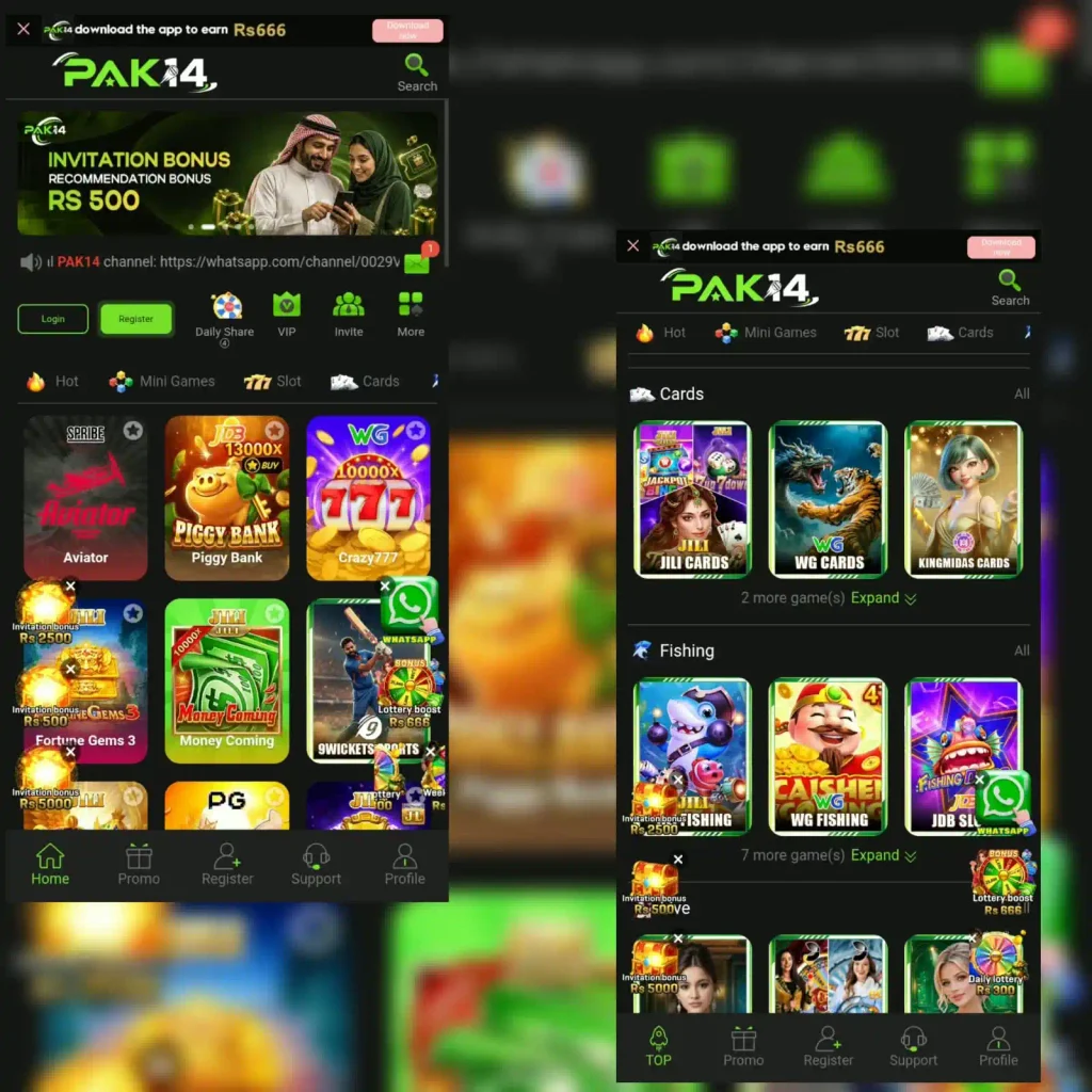 PAK14 game