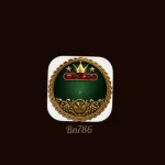 BN786 Game