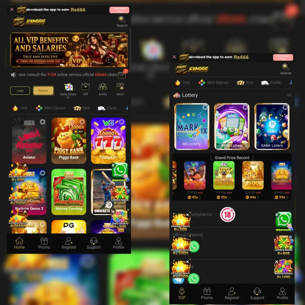 ER666 game