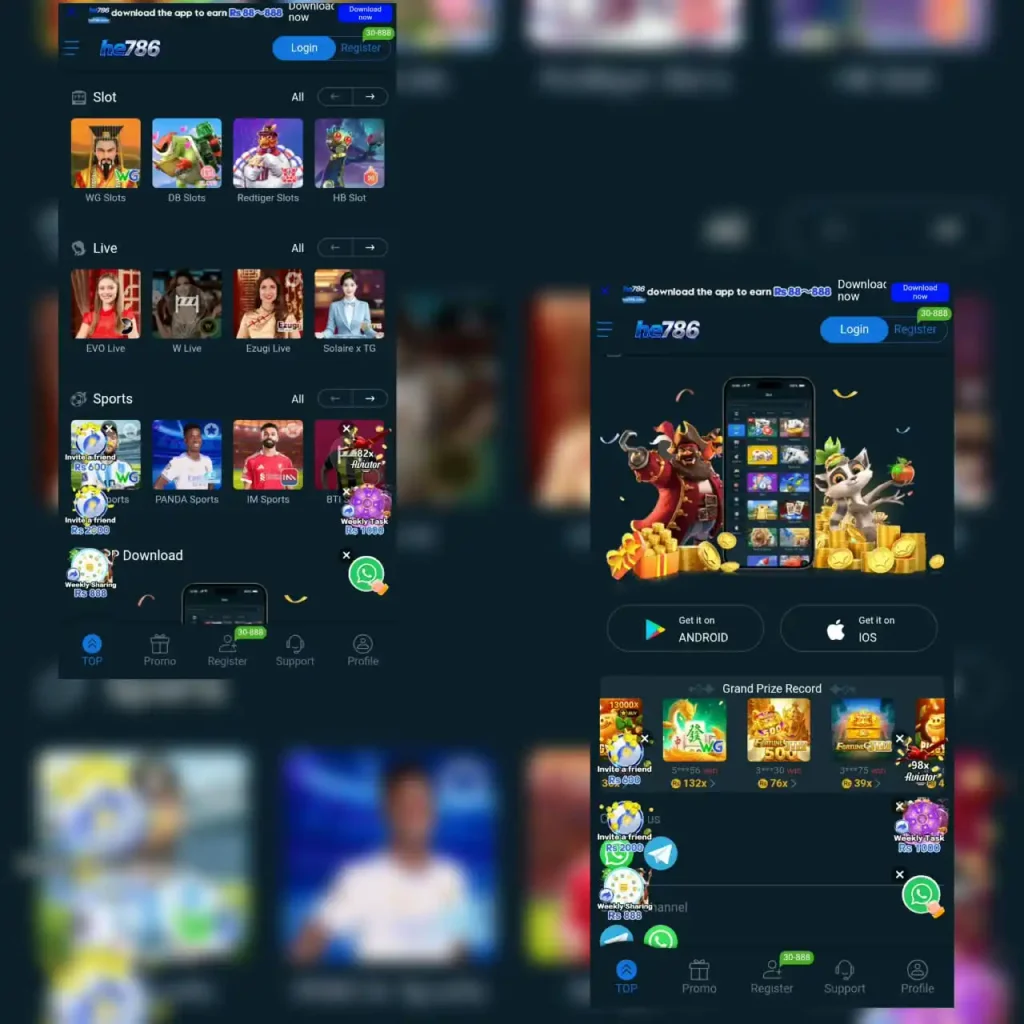 HE786 game