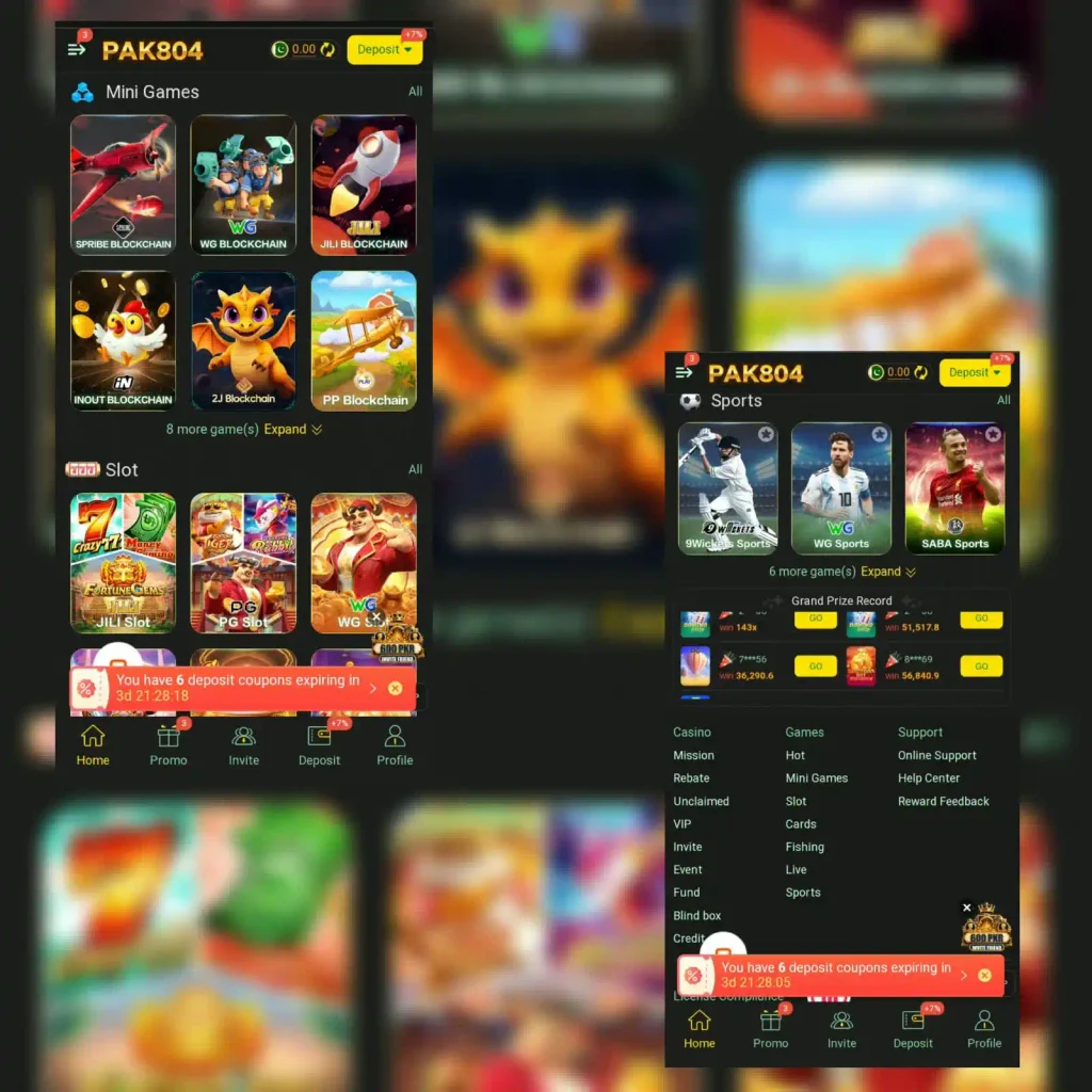 Pak804 game